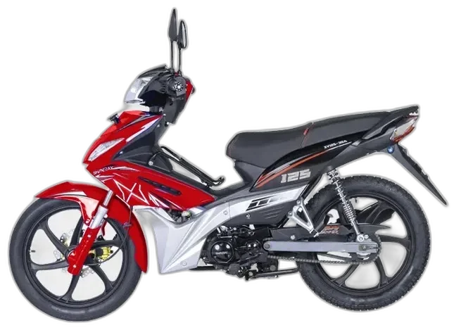 SHINERAY CABALLITO 125